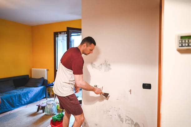 Best Fast Mold Removal  in Coquille, OR