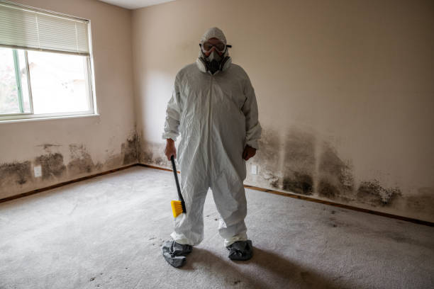Best Toxic Mold Removal  in Coquille, OR