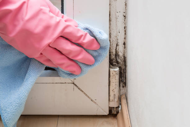 Best Mold Testing  in Coquille, OR
